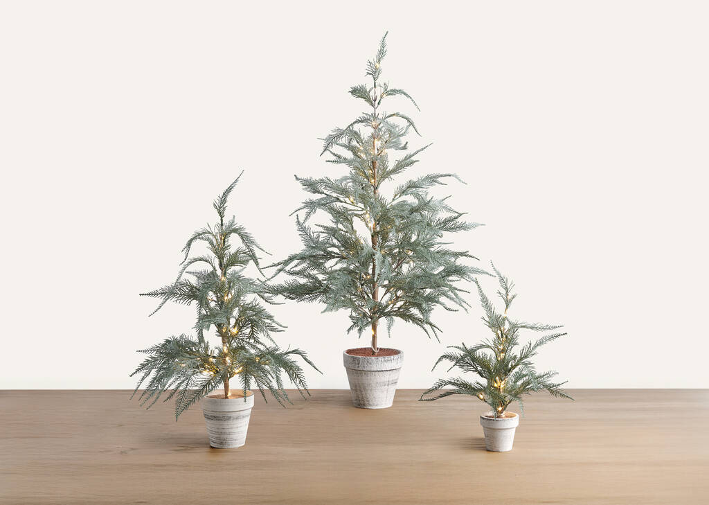 Petit arbre Wonderland