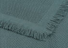 Holmes Throw Pond