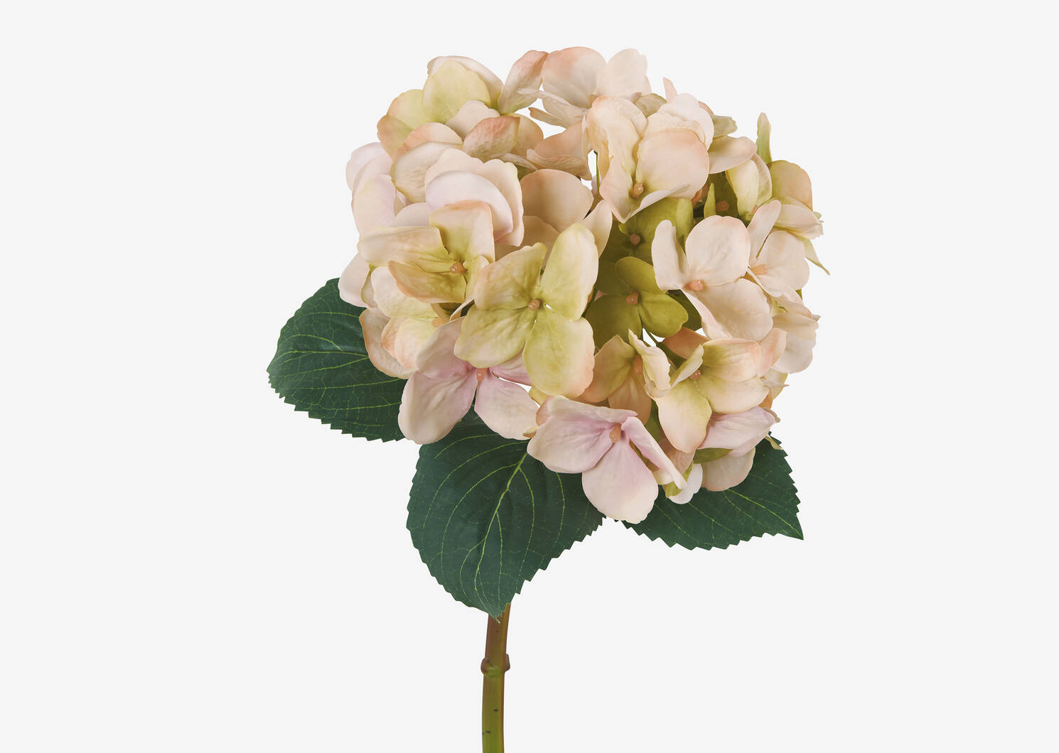 Gretel Hydrangea Stem Pink