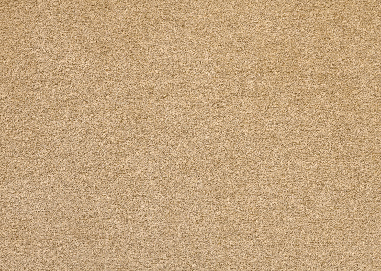 Statler Armchair -Judy Harvest