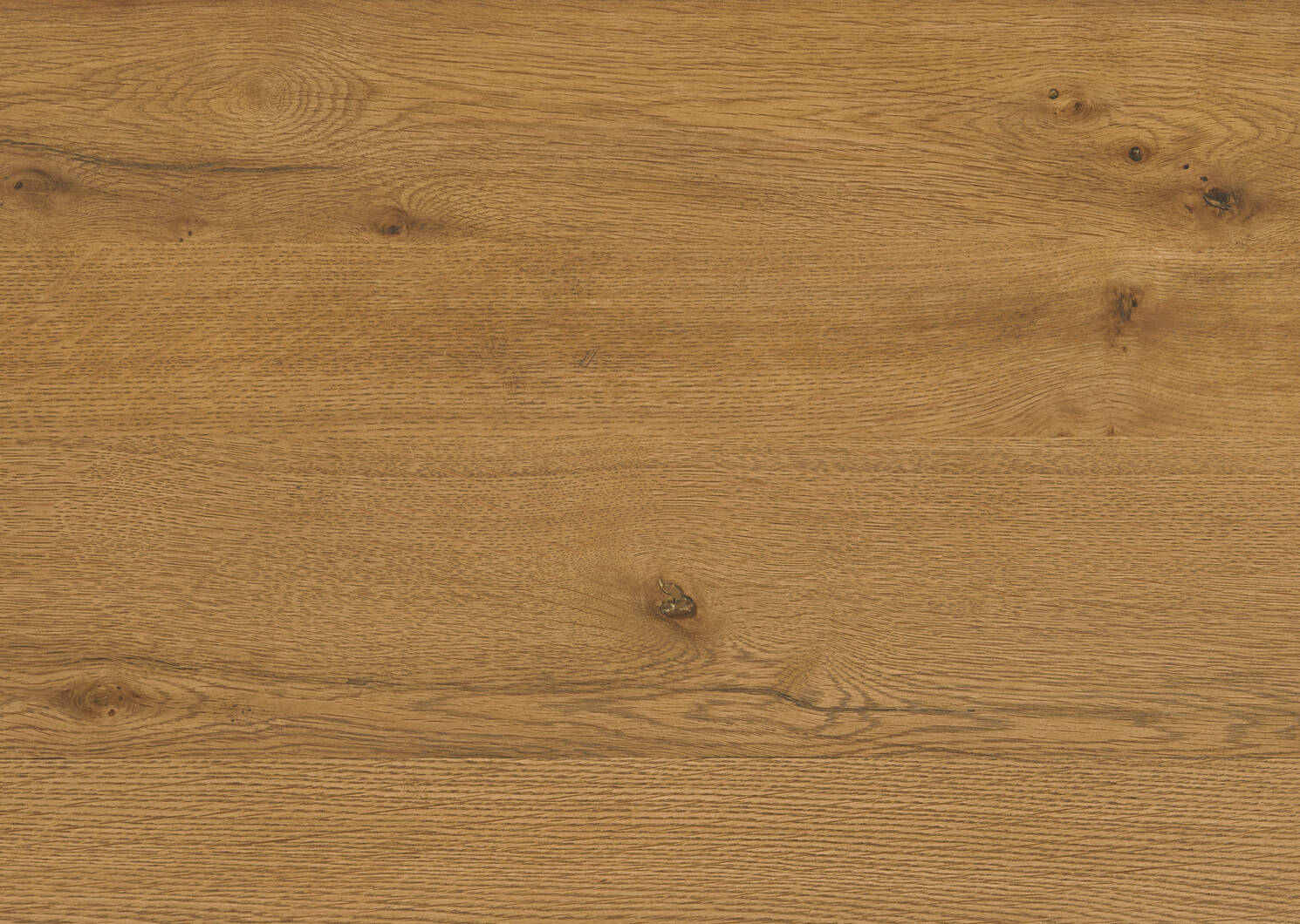 Buffet Willem -Ellis bl&eacute;