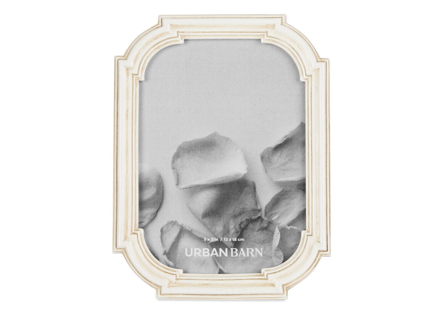 Edith Frames