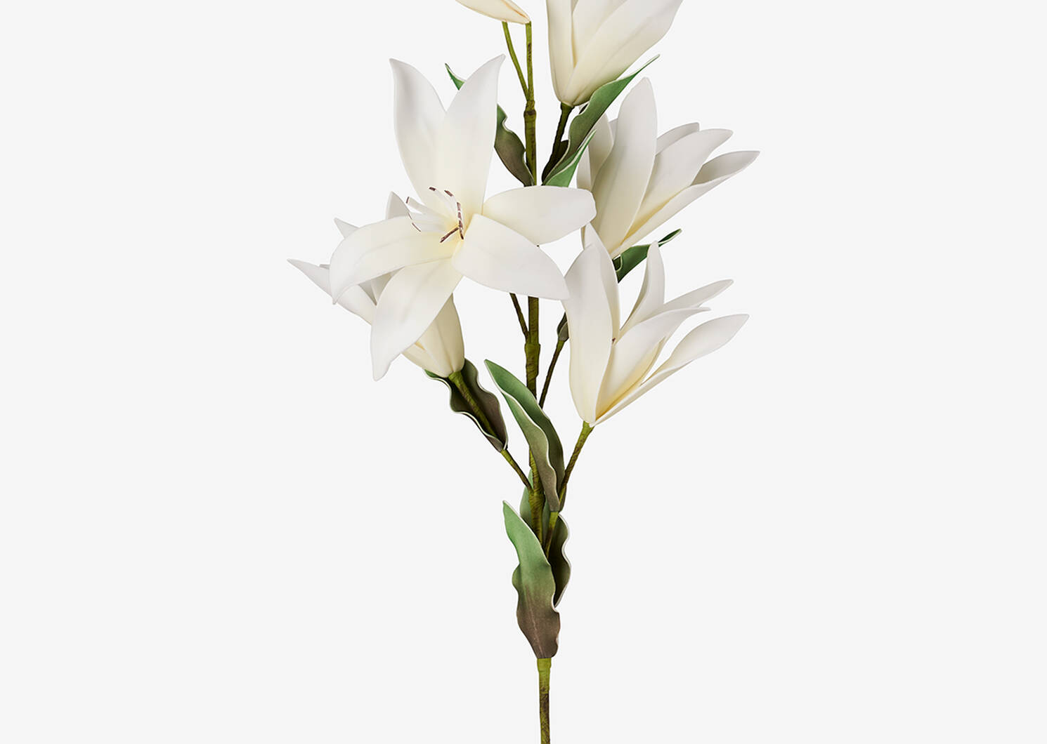 Bouquet de fleurs Kadal blanches