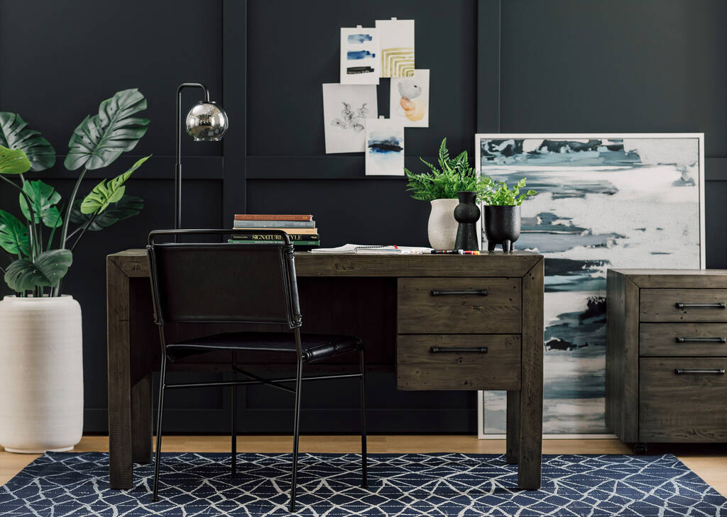 Monstera Plant Potted