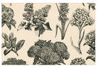 Napperon Hydrangea naturel/noir