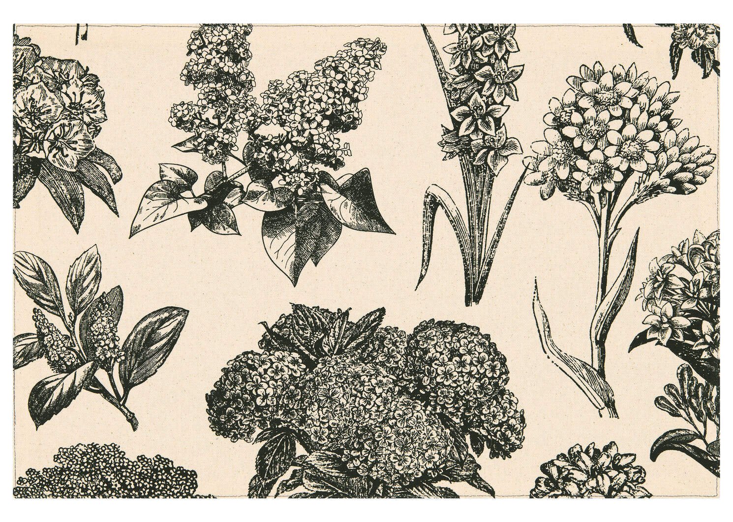Napperon Hydrangea naturel/noir