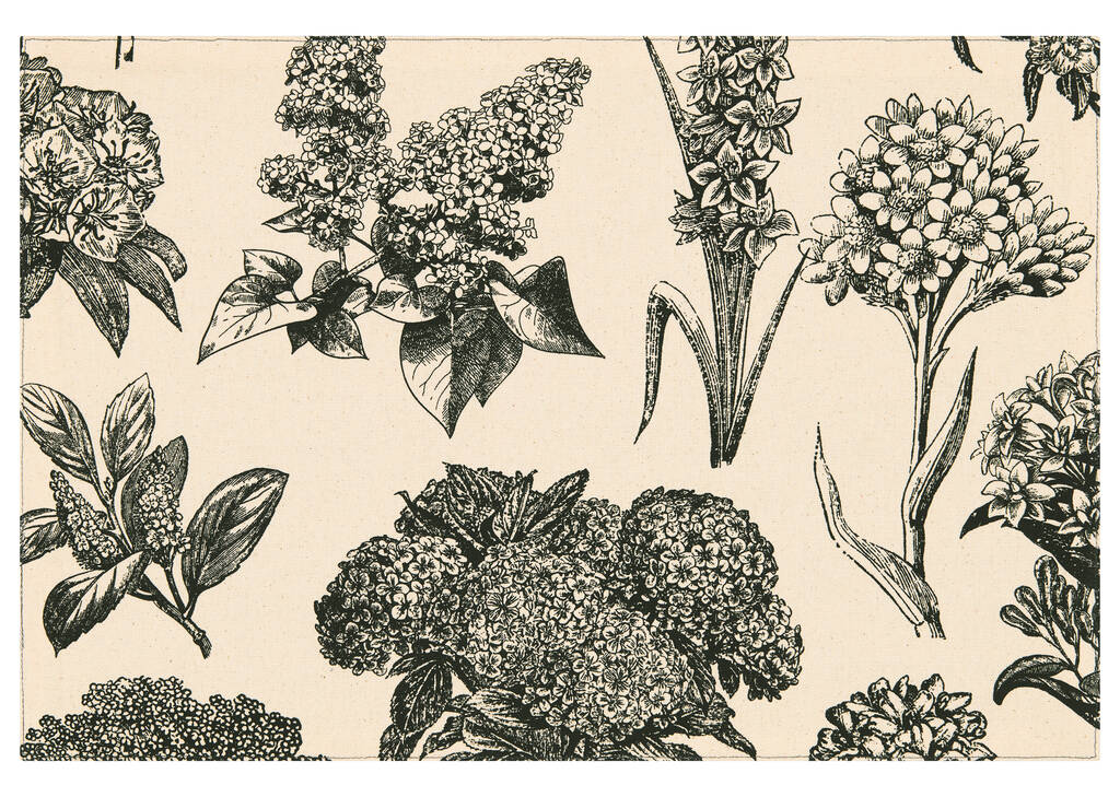 Napperon Hydrangea naturel/noir