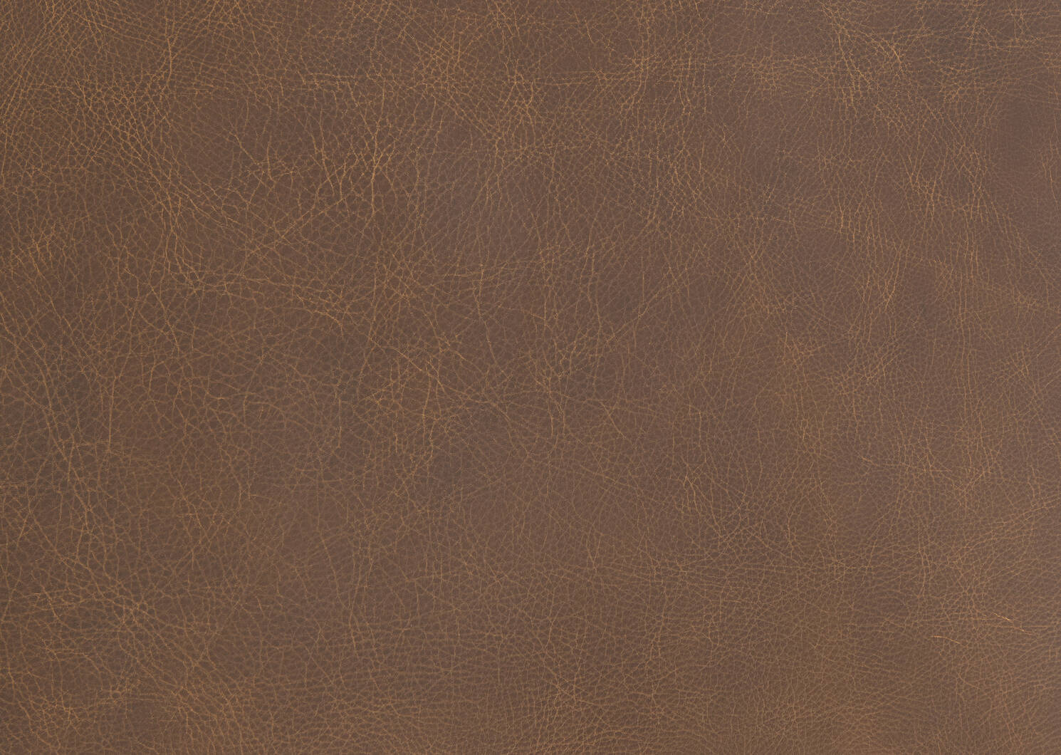 Carson Leather Sofa -Wes Rum