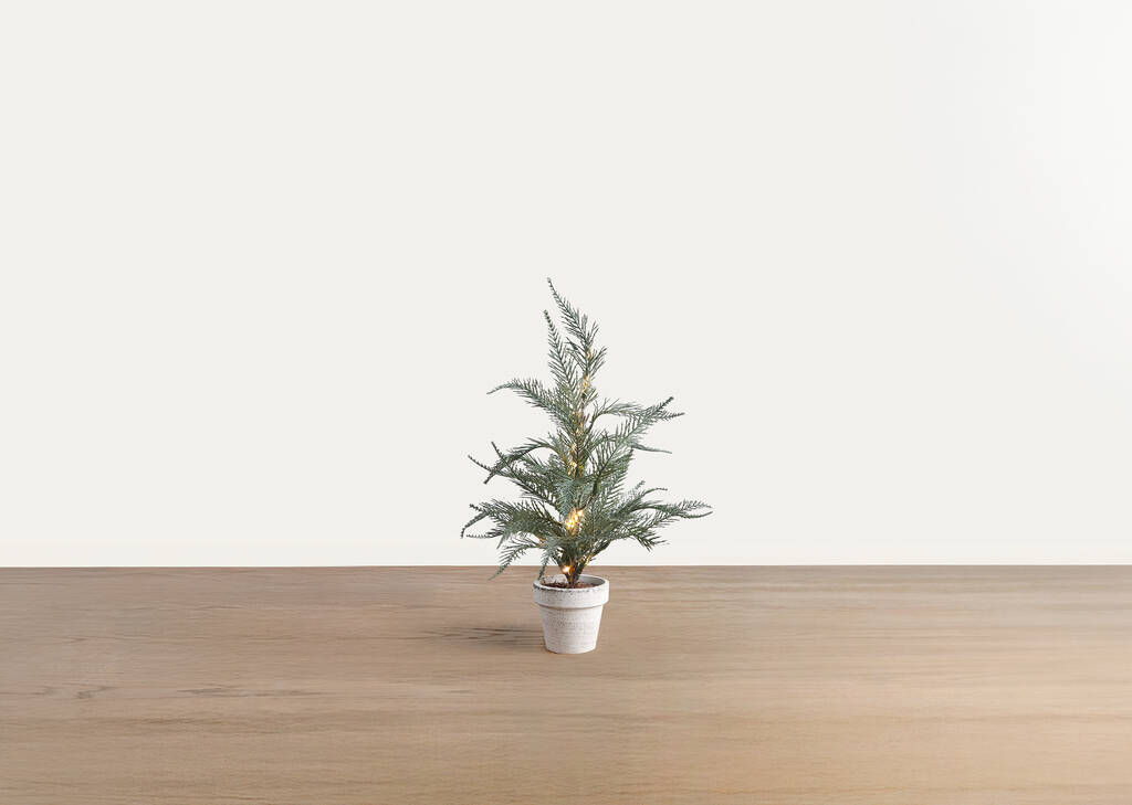 Petit arbre Wonderland