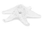 D&eacute;co &eacute;toile de mer Starfish transparente