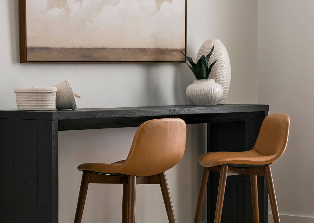 Greer Snake Plant Potted