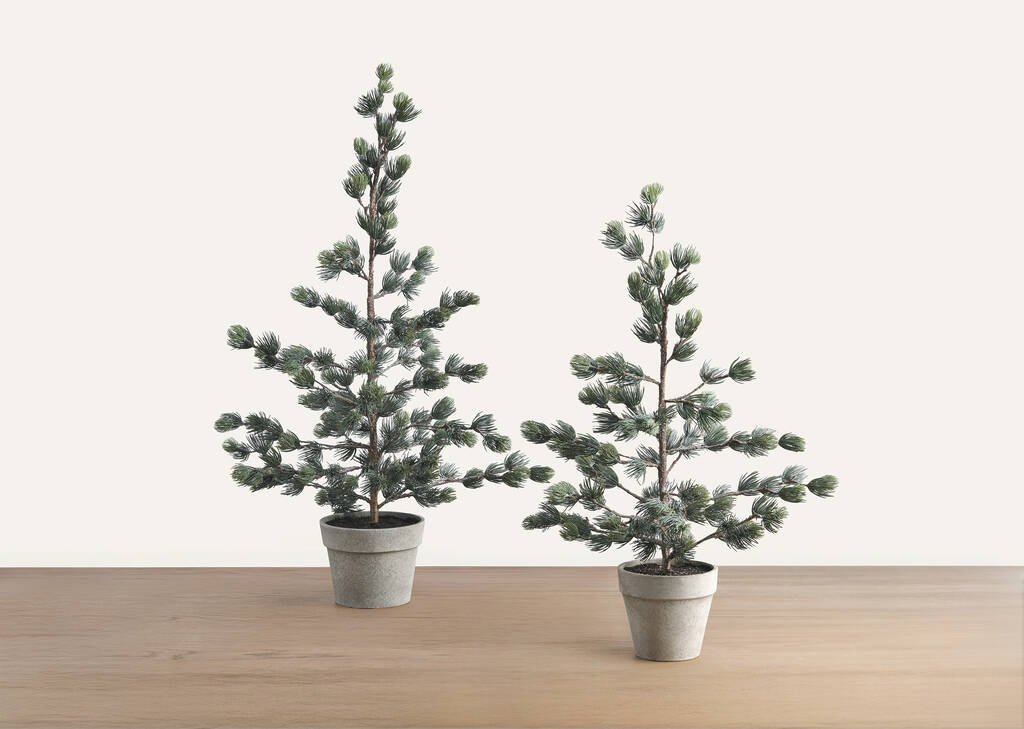 Petit arbre en pot Tremblant