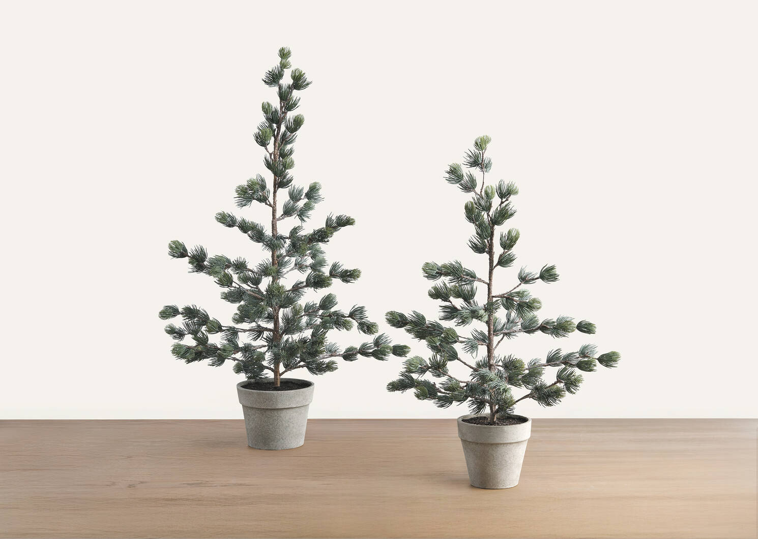 Petit arbre en pot Tremblant