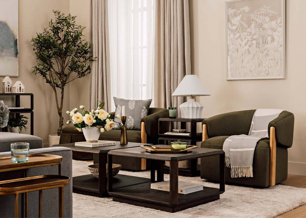 Cyprus Olive Tree Potted 7ft