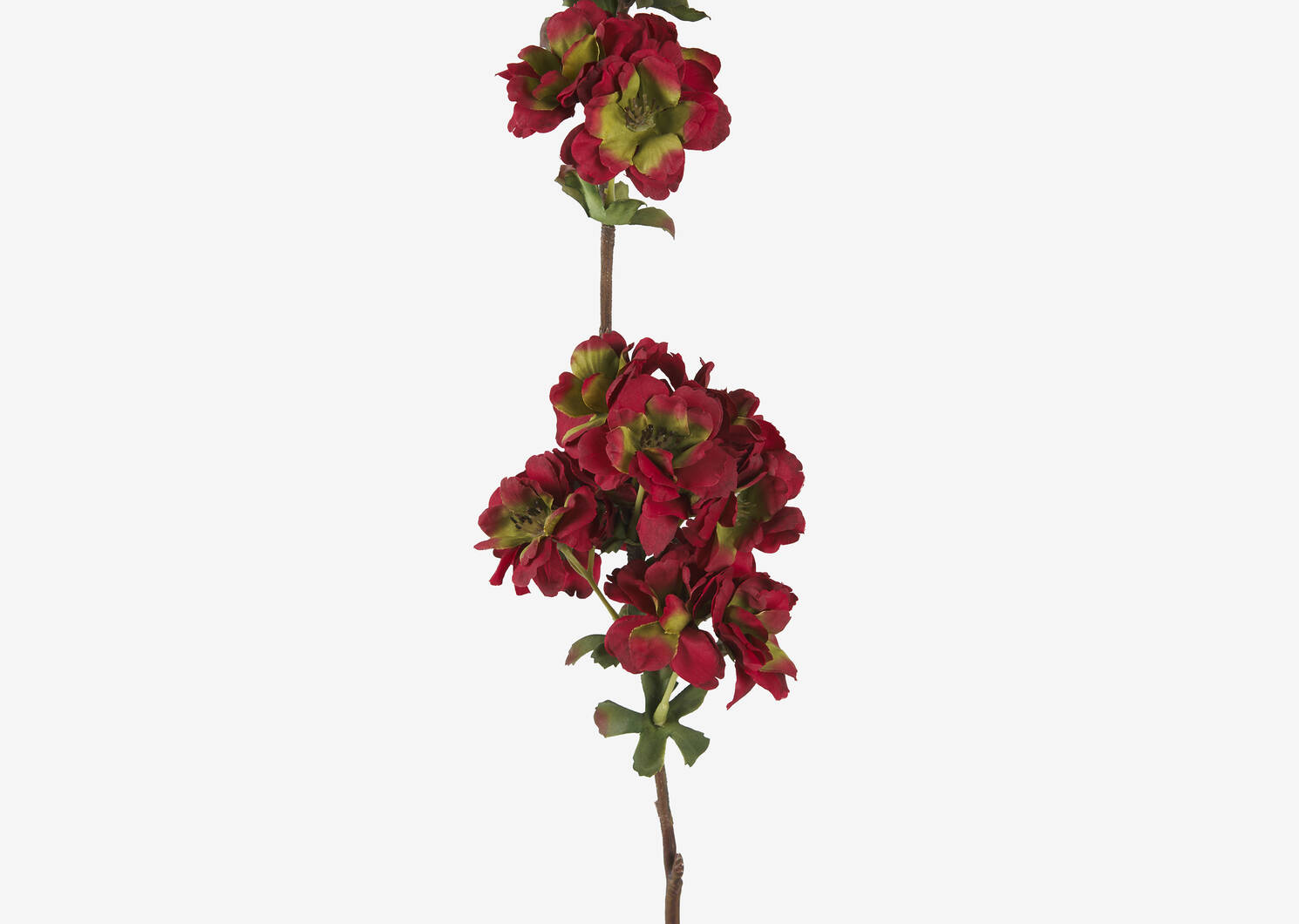 Tige de fleurs d’automne Ricki rouges