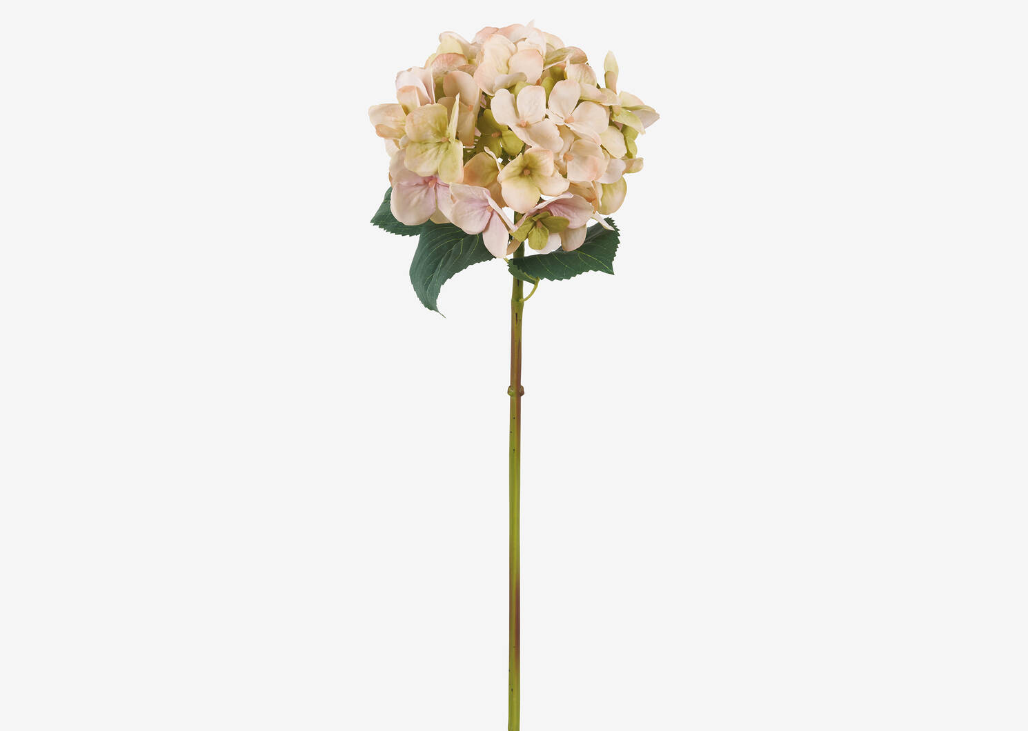 Gretel Hydrangea Stem Pink