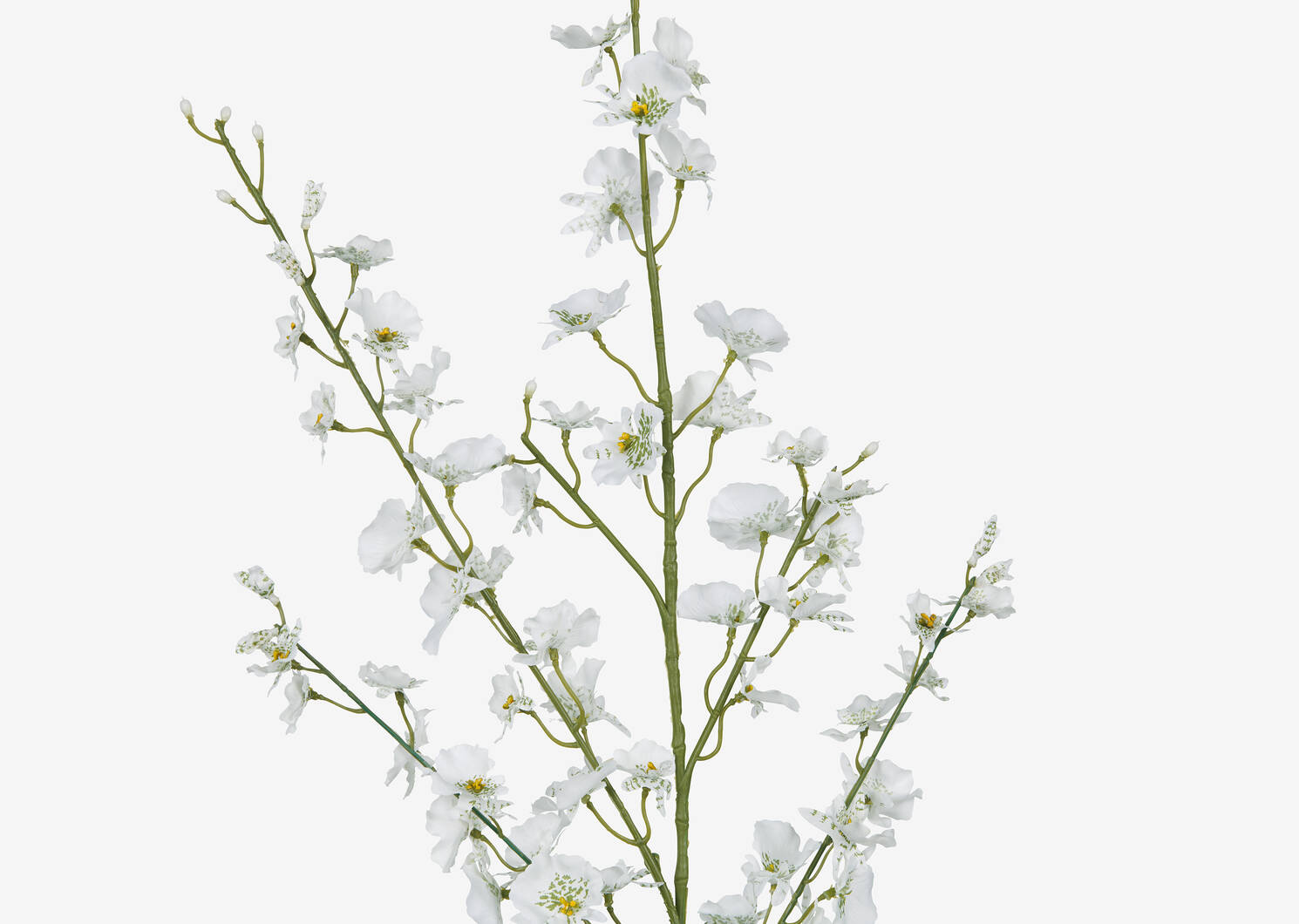 Liza Dancing Orchid Branch Ivory