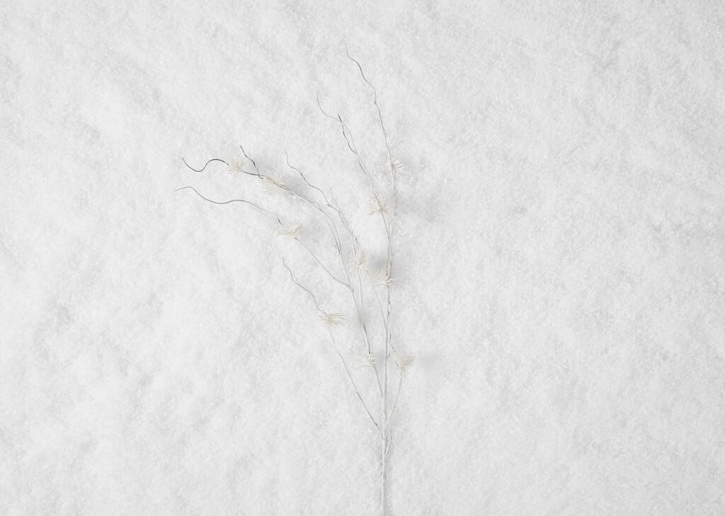 Tige d'hamamélis Snow