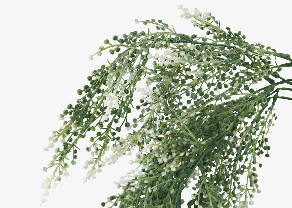 Sweet Annie Hanging Branch