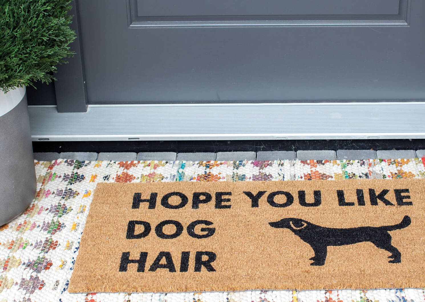 Dog Hair Doormat