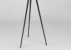 Jonah Tripod Floor Lamp