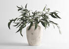 Petit vase Carmina blanc