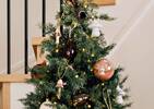 Adams Mushroom Ornament White