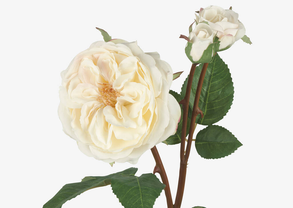 Branche de roses Talia blanches