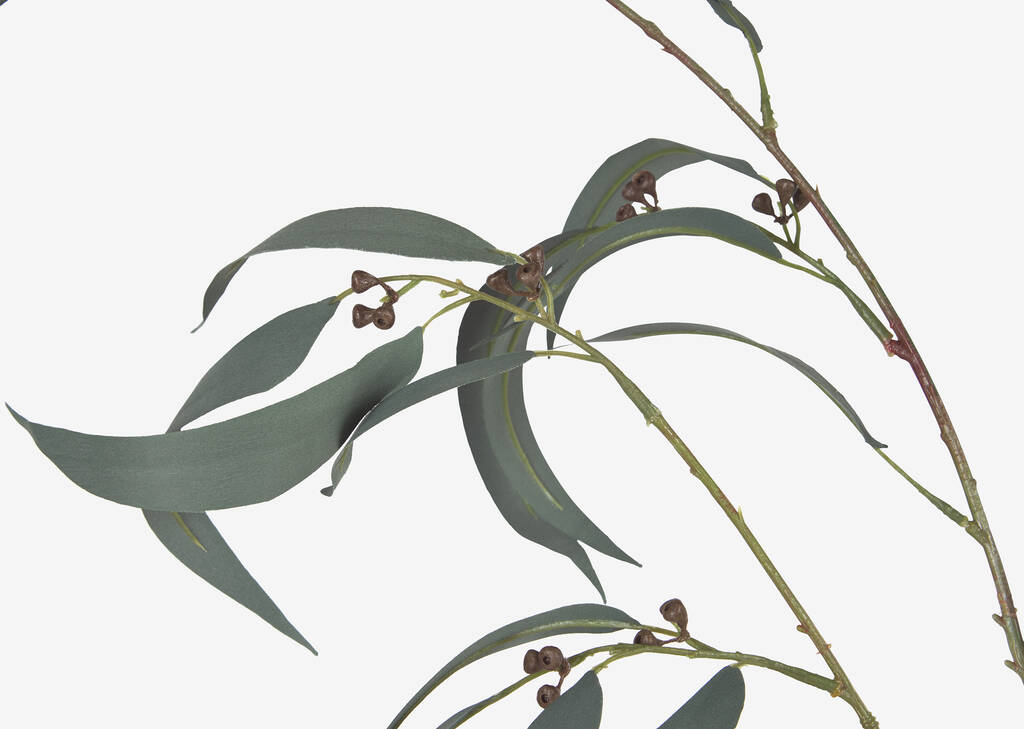 Carmina Vase & Shay Gumnut Leaf Branches