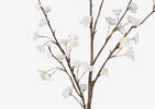 Tige de fleurs de cerisier Gracie