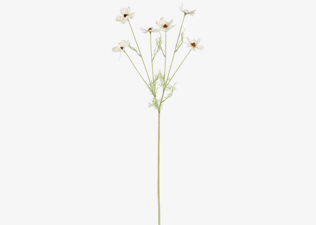 Winona Cosmos Stem Ivory
