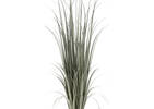 Noble Grass Potted Grey