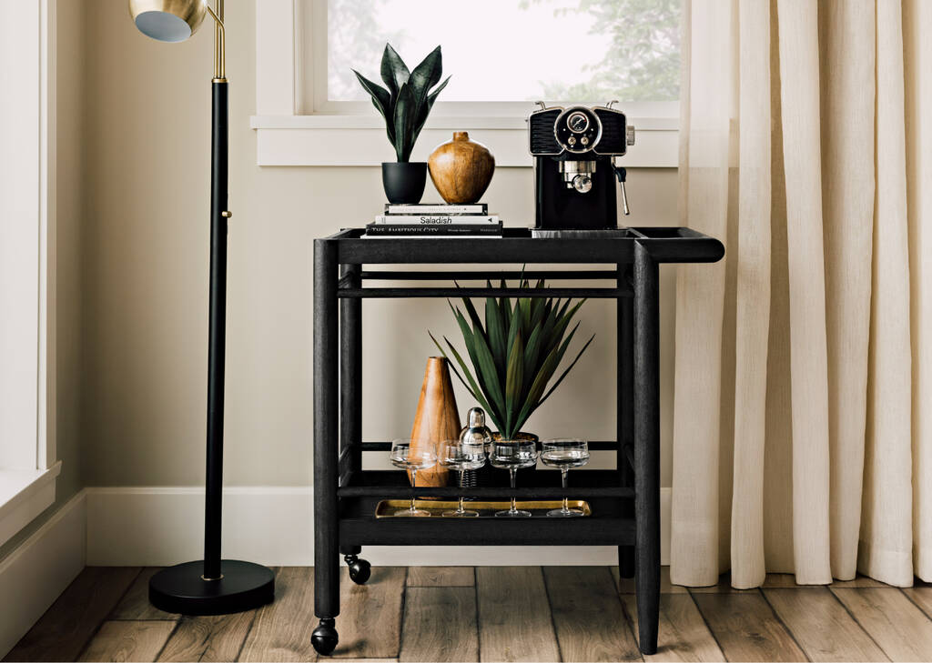 Greer Snake Plant Potted