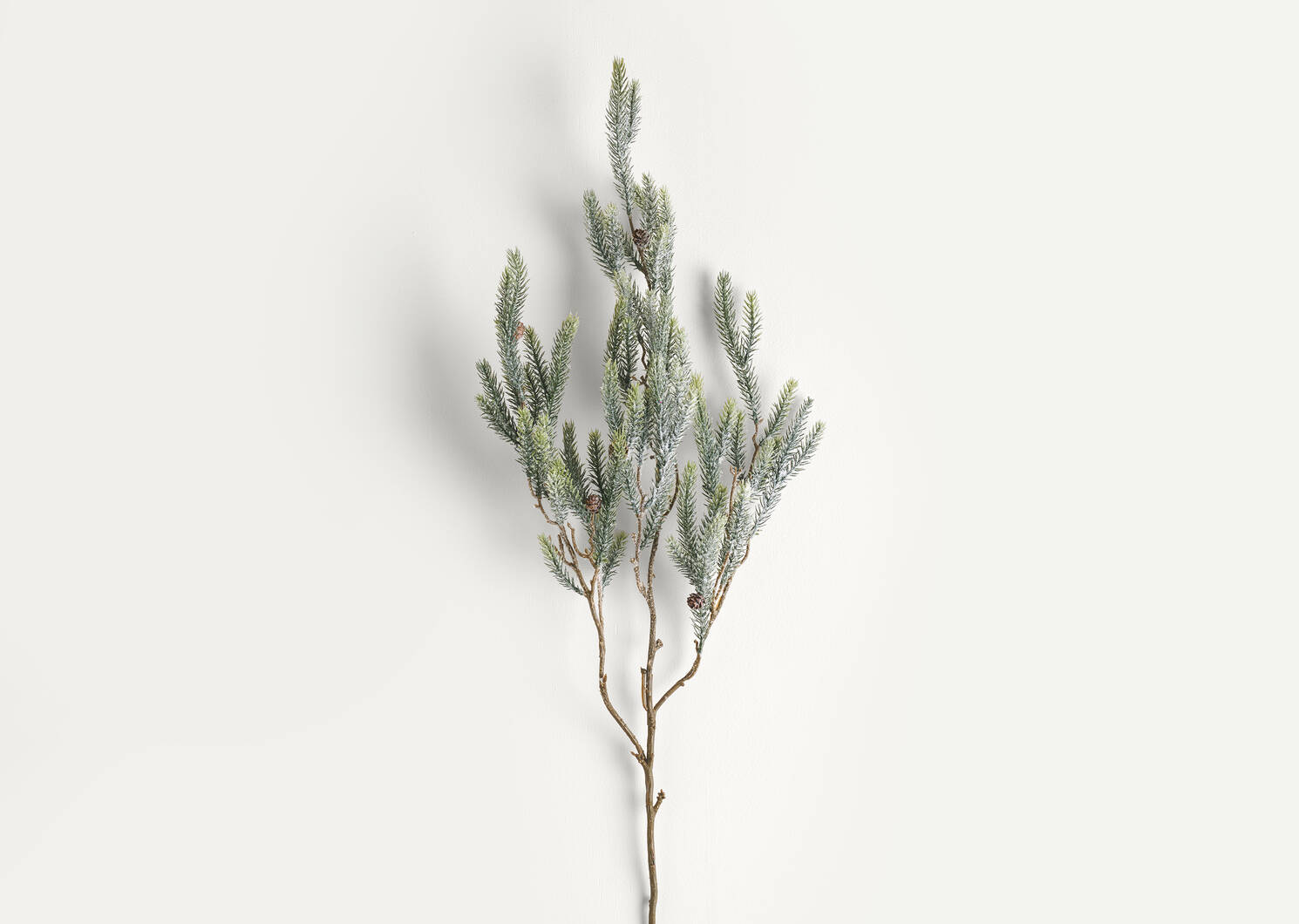 Branche de pin givr&eacute;e Icy Pine