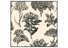 Ensemble 6 serviettes Hydrangea nat/nr