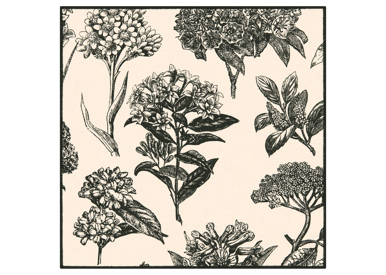Ensemble 6 serviettes Hydrangea nat/nr