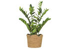 Diani Woven Planter Large