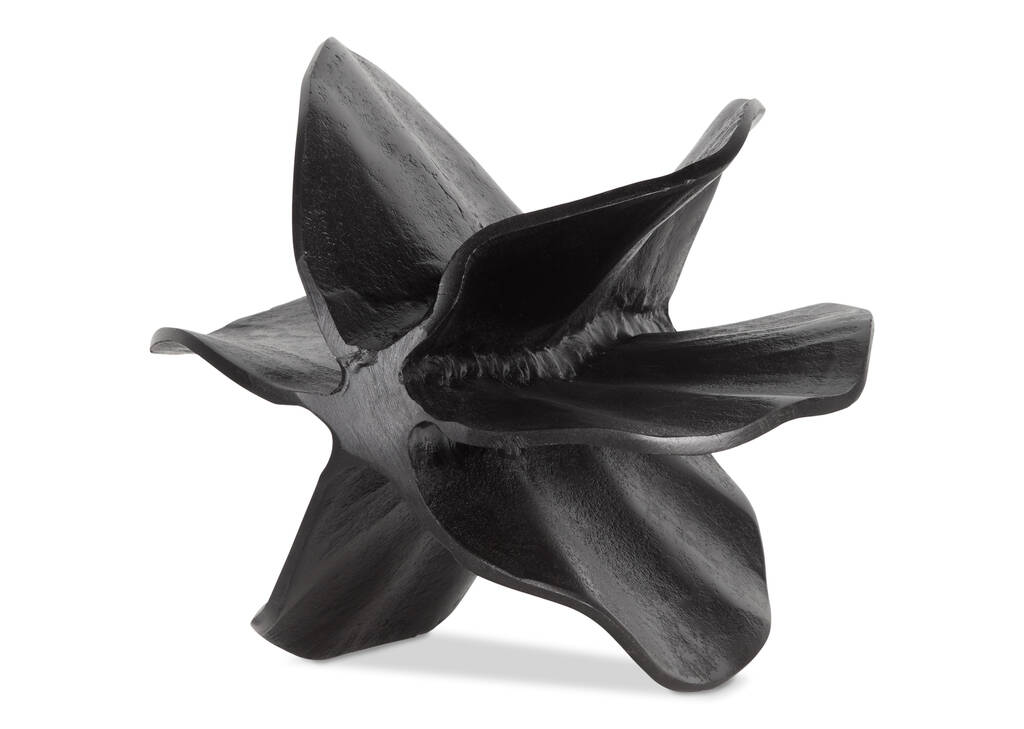 Banda Starfruit Object