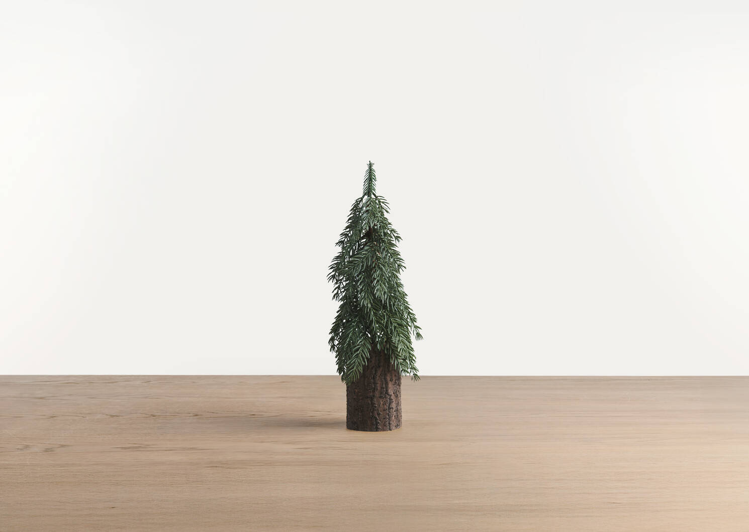 Sapins de Noël Seymour
