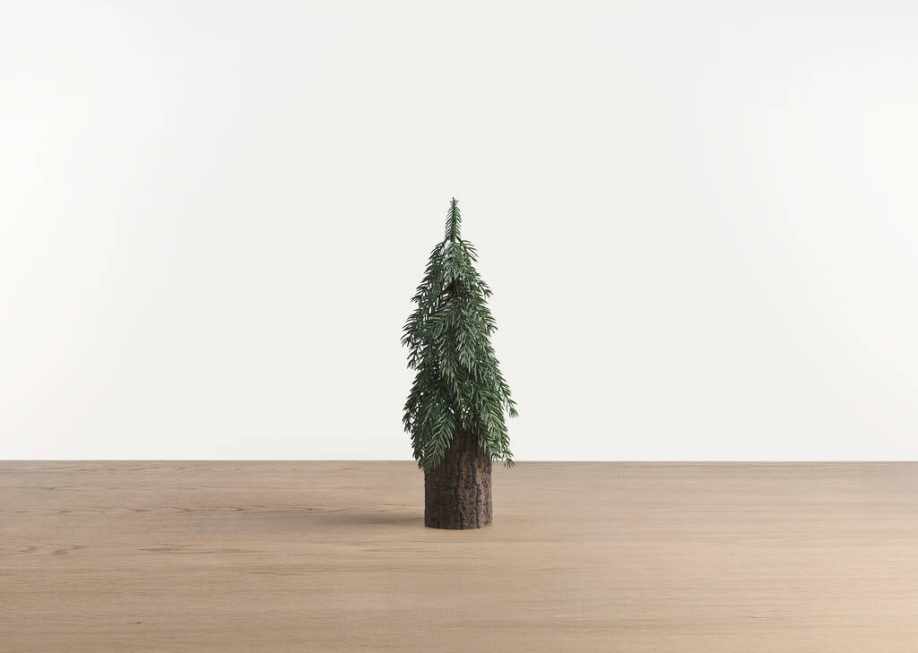 Petit sapin Seymour