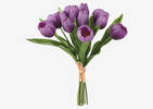 Agnes Tulip Bunch Purple