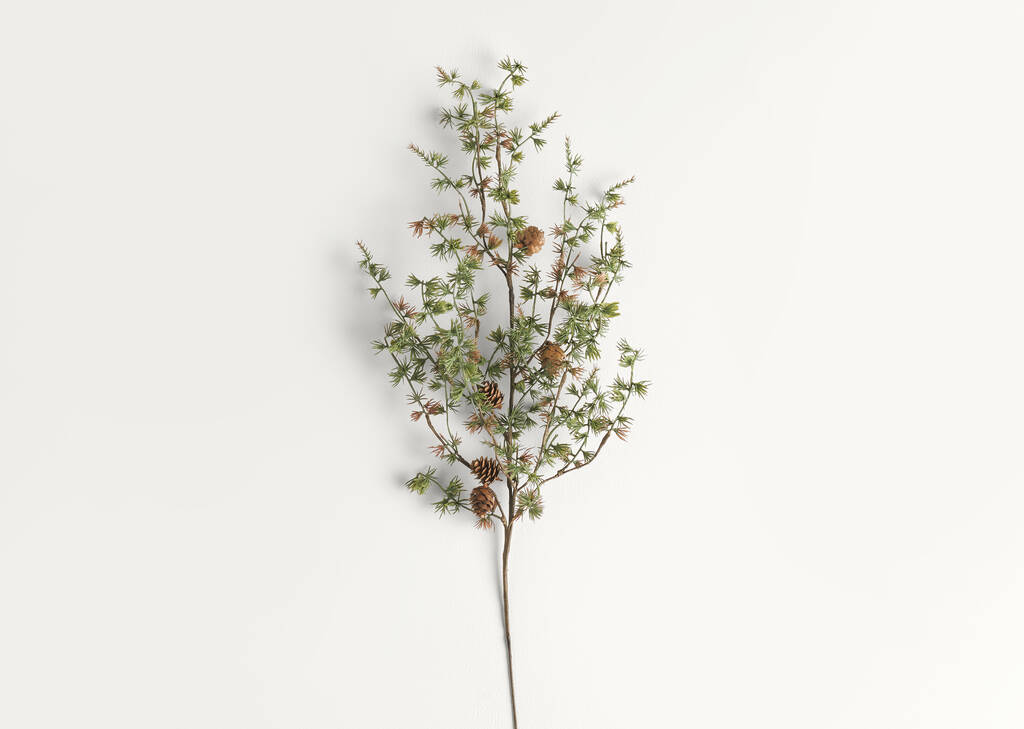 Branche de pin Sapling