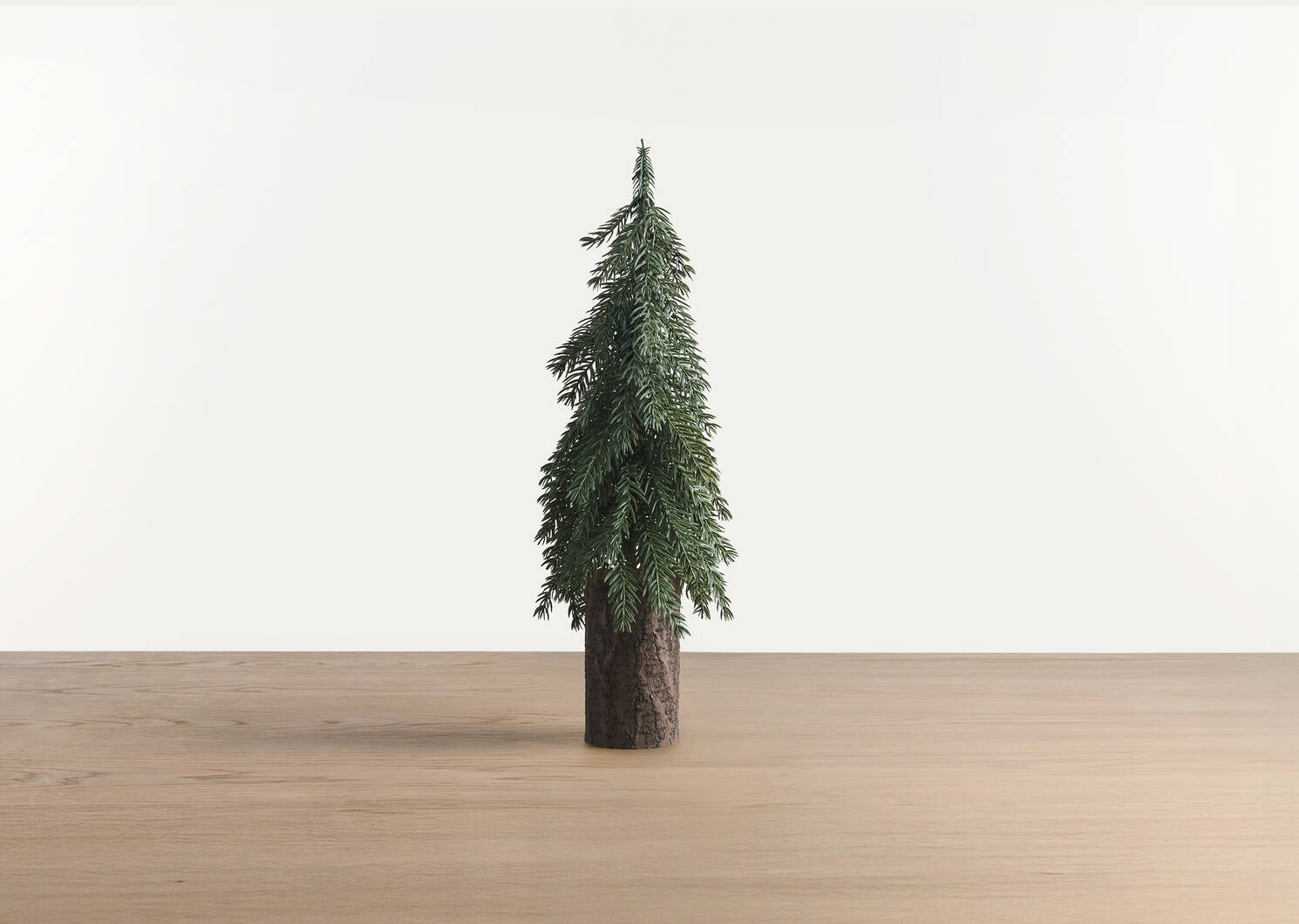 Sapins de Noël Seymour