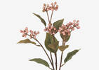 Saskatoon Berry Branch Pink