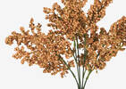 Branche de fleurs fructifiées Esther car
