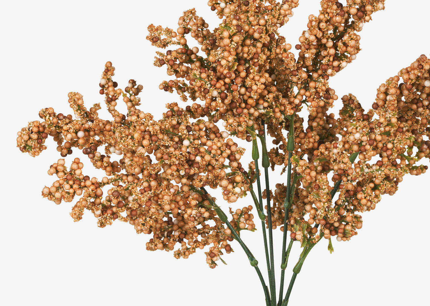 Branche de fleurs fructifiées Esther car
