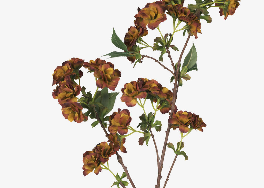 Gabriella Autumn Blossom Stem Marigold