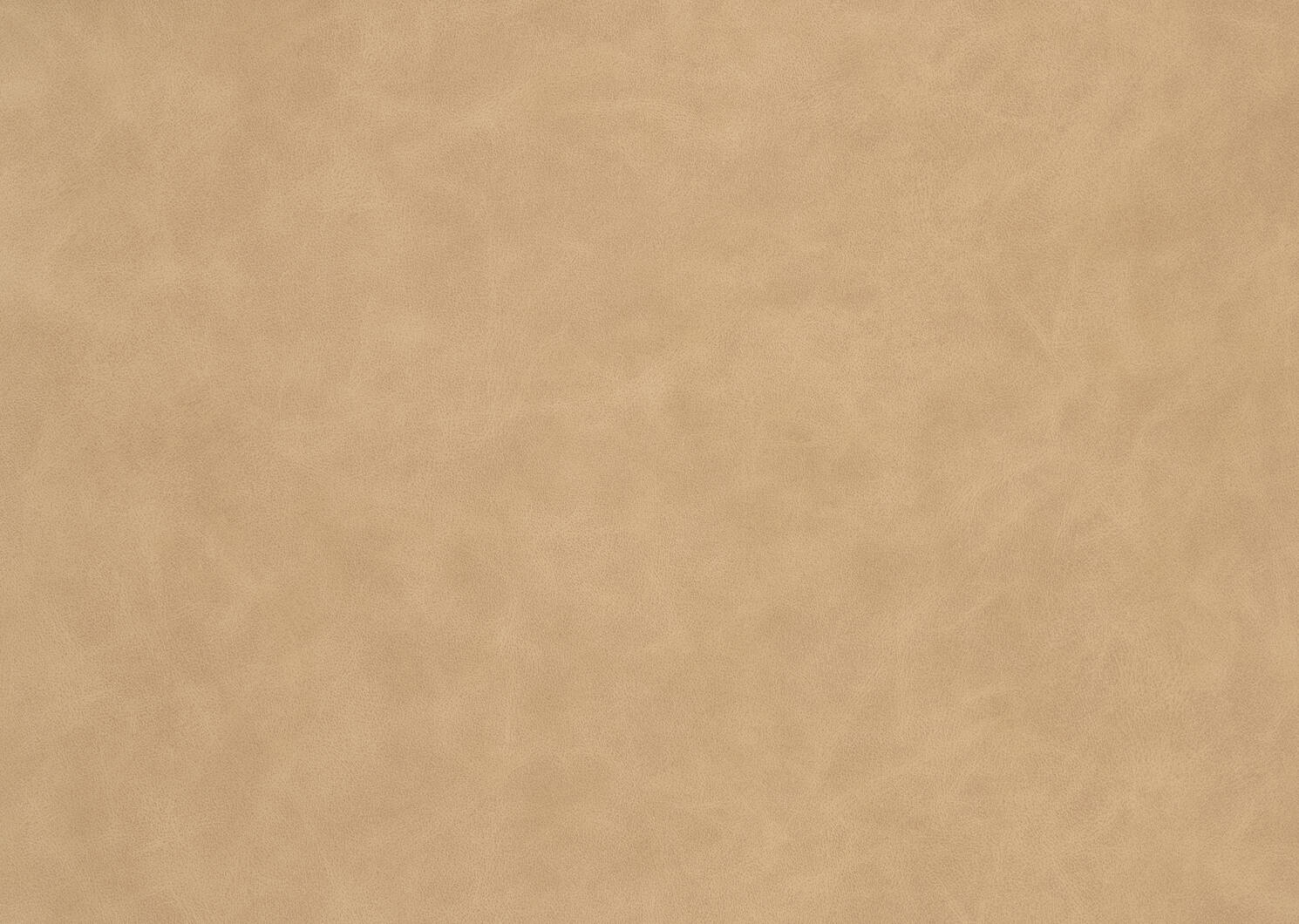 Lennox Dining Chair -Brennan Tan