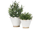 Ruffled Planter Small Antiqued White