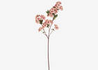 Tige fleurs de cerisier Kya rose voilé